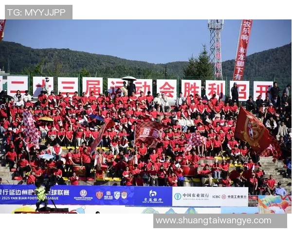 足球巨星闪耀绿茵场盛大出场列队展现王者风采 足球巨星闪耀绿茵场盛大出场列队展现王者风采