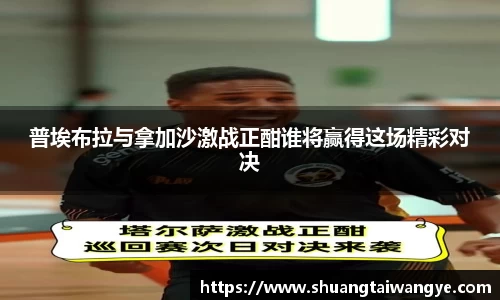 凤凰联盟平台