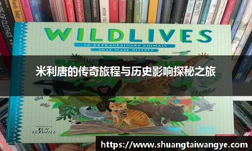 凤凰联盟平台
