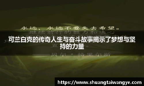 凤凰联盟平台